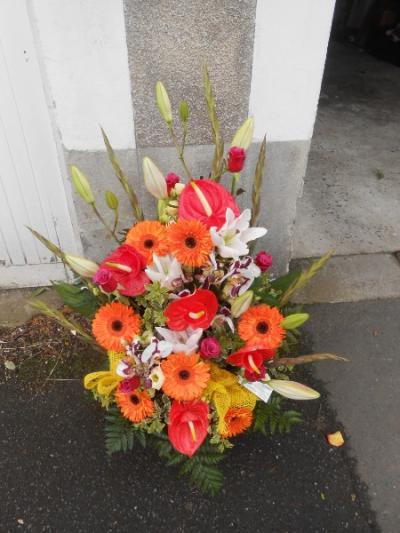 PLANTES  ET COMPOSITIONS  DE NOEL POUR LA FETE DE FIN D' ANNEE .